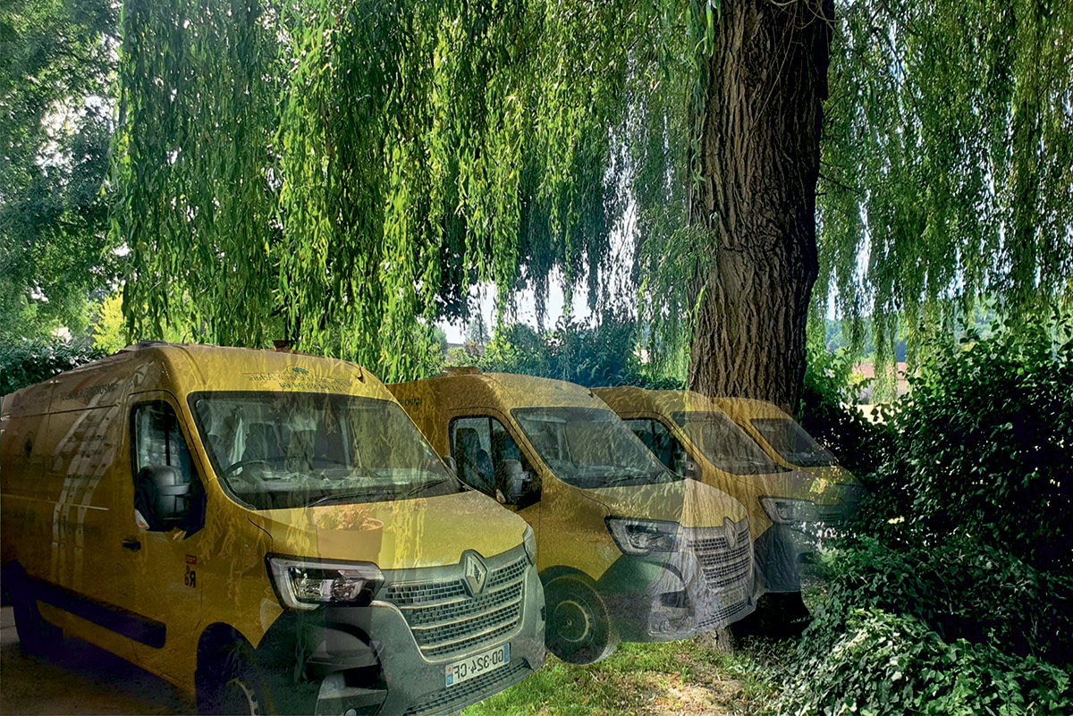 Bois de chauffage et allumage 1
